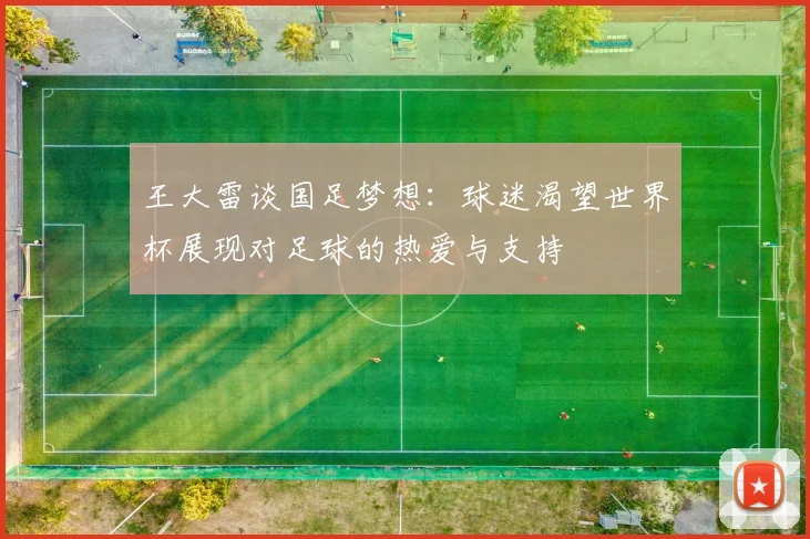 王大雷谈国足梦想：球迷渴望世界杯展现对足球的热爱与支持