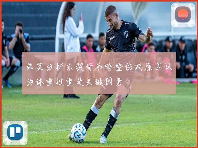 弗莱分析东契奇和哈登伤病原因认为体重过重是关键因素