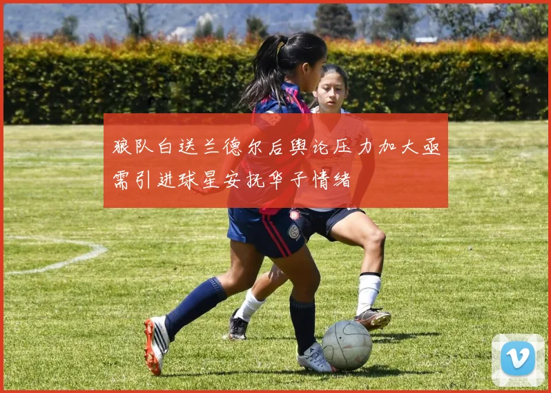 狼队白送兰德尔后舆论压力加大亟需引进球星安抚华子情绪